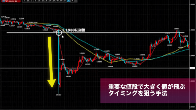 黒鳥FX倶楽部（BLACK SWAN FX CLUB）