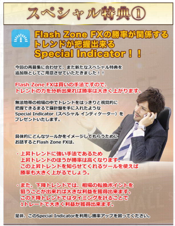 Flash Zone FX （フラッシュゾーン FX）スペシャル特典インディケーター