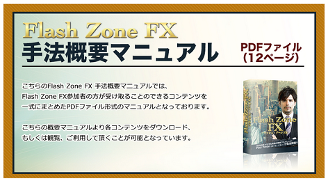Flash Zone FX （フラッシュゾーン FX）手法概要マニュアルの画像