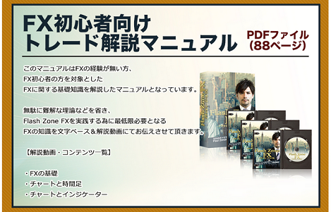 Flash Zone FX （フラッシュゾーン FX）FX初心者向けトレード解説の画像